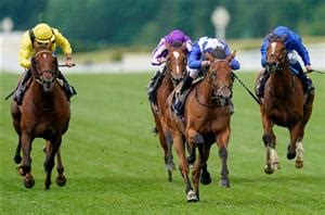 prince of wales's stakes odds|2022 Prince of Wales Stakes Odds & Betting Picks .